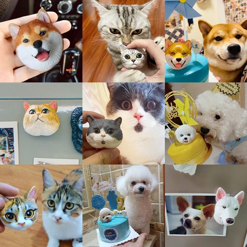 Özel Tasarım 3D Evcil Hayvan F - Pet Portrait Custom incelemesi ve fiyatı