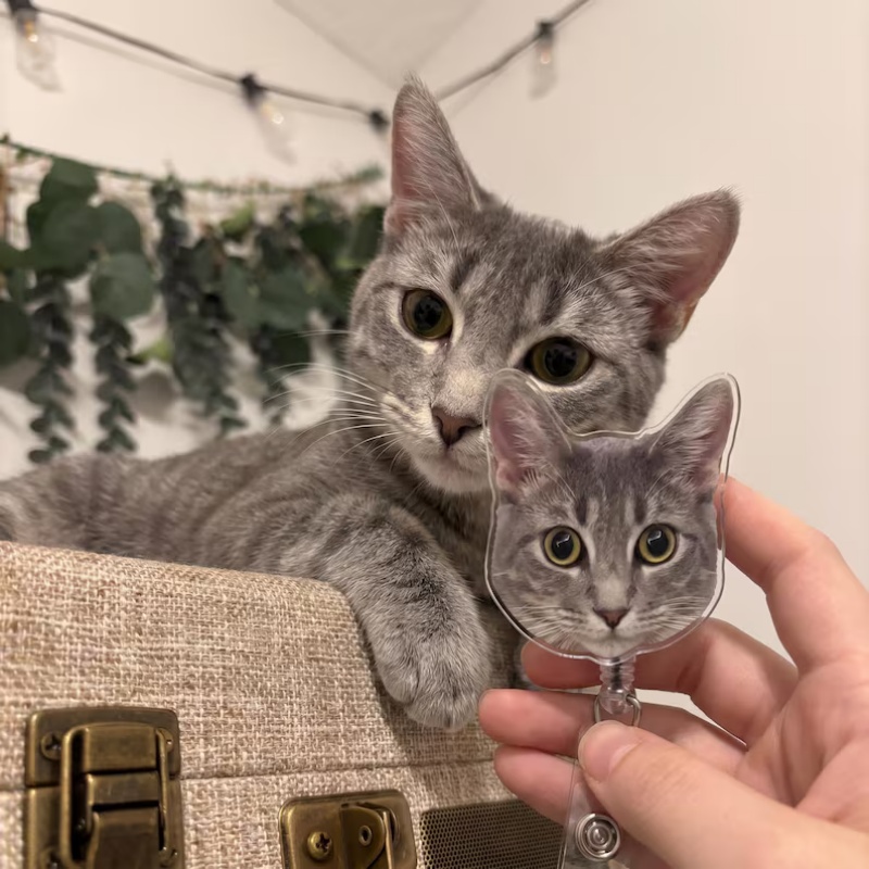Kişiye Özel Evcil Hayvan Fotoğ - Pet Portrait Custom incelemesi ve fiyatı